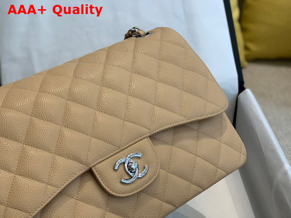 Chanel Large Classic Handbag in Beige Grained Calfskin Gold Tone Metal A58600 Replica