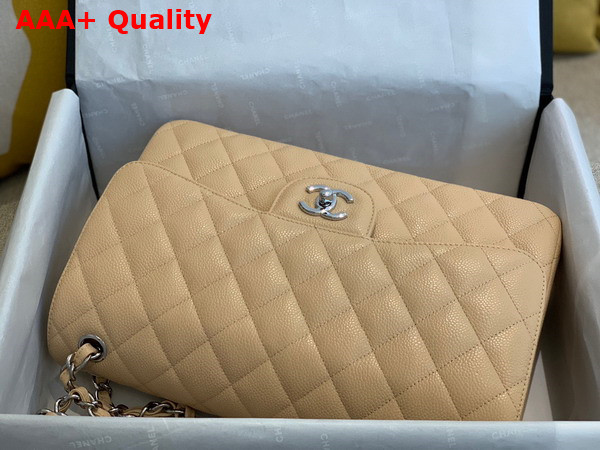 Chanel Large Classic Handbag in Beige Grained Calfskin Gold Tone Metal A58600 Replica