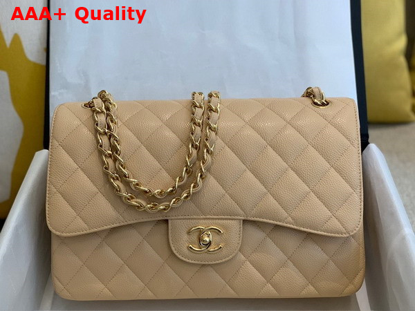 Chanel Large Classic Handbag in Beige Grained Calfskin Gold Tone Metal A58600 Replica