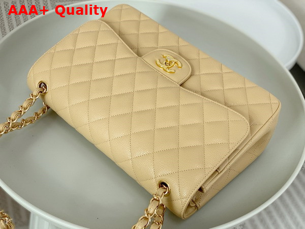 Chanel Large Classic Handbag in Beige Grained Calfskin with Gold Tone Metal Ref A58600 Replica