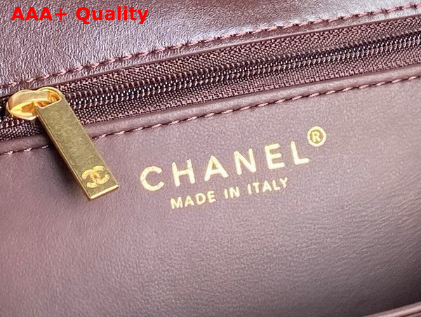 Chanel Large Flap Bag in Dark Brown Shiny Crumpled Calfskin and Gold Tone Metal AS5145 Replica