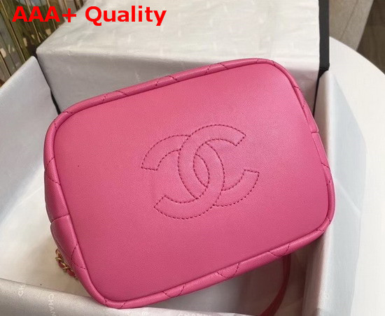 Chanel Large Hobo Bag Lambskin Gold Metal Pink AS1747 Replica