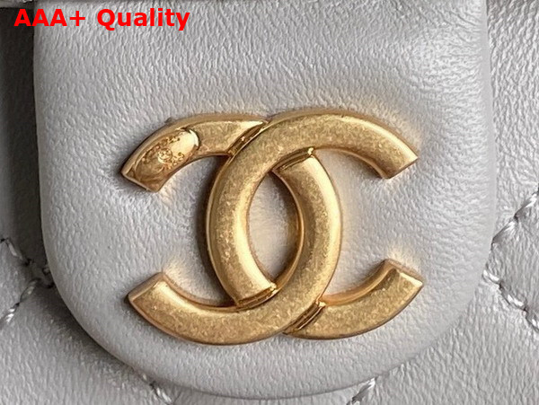 Chanel Large Hobo Bag in Gray Shiny Lambskin Gold Tone Metal AS5339 Replica