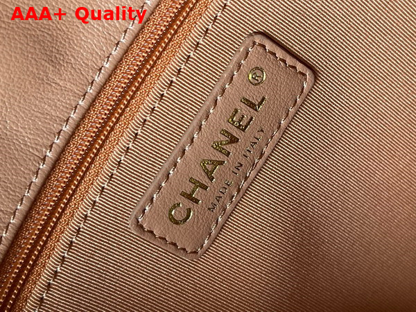 Chanel Large Hobo Bag in Light Brown Shiny Calfskin Gold Tone Metal Ref AS4668 Replica