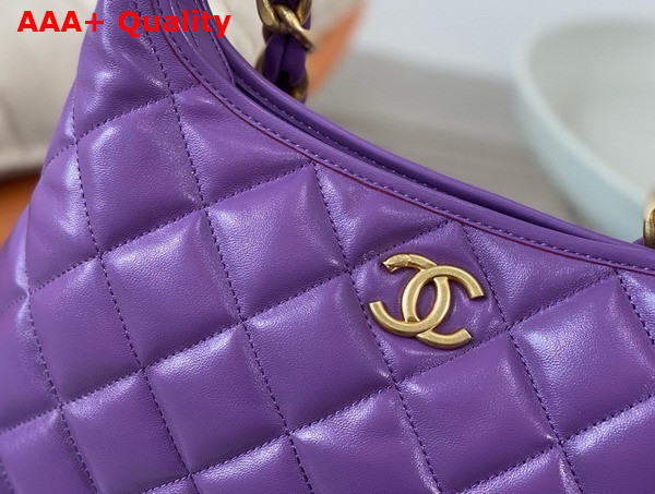 Chanel Large Hobo Bag in Light Purple Shiny Lambskin Gold Tone Metal AS4923 Replica