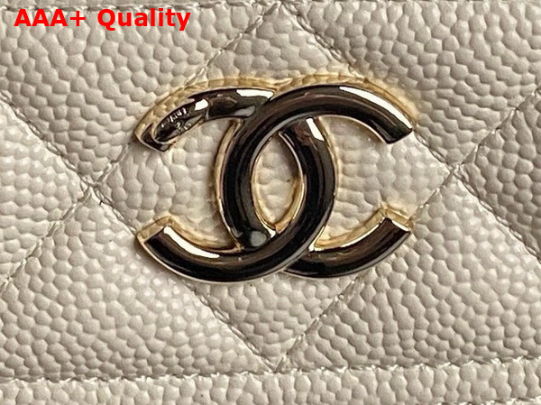 Chanel Long Vanity with Chain Beige Grained Calfskin Gold Tone Metal AP4407 Replica