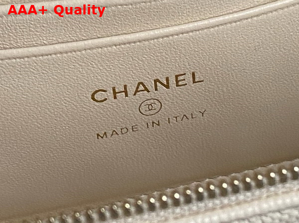 Chanel Long Vanity with Chain Beige Grained Calfskin Gold Tone Metal AP4407 Replica