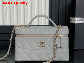 Chanel Long Vanity with Chain Gray Grained Calfskin Gold Tone Metal AP4407 Replica