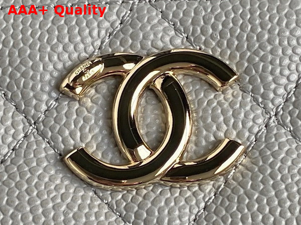 Chanel Long Vanity with Chain Gray Grained Calfskin Gold Tone Metal AP4407 Replica