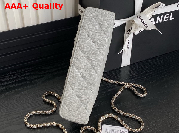 Chanel Long Vanity with Chain Gray Grained Calfskin Gold Tone Metal AP4407 Replica