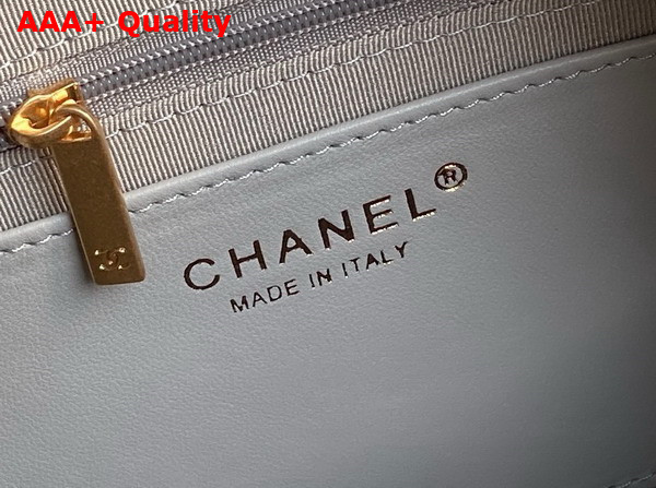 Chanel Maxi Hobo Bag in Gray Shiny Lambskin Gold Tone Metal AS5302 Replica