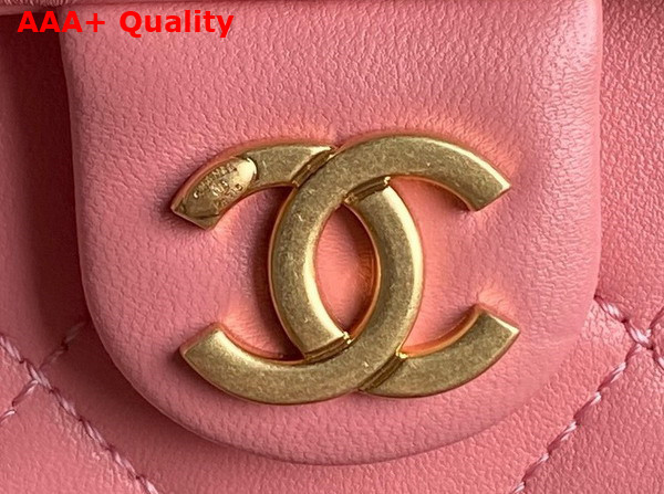 Chanel Maxi Hobo Bag in Pink Shiny Lambskin Gold Tone Metal AS5302 Replica