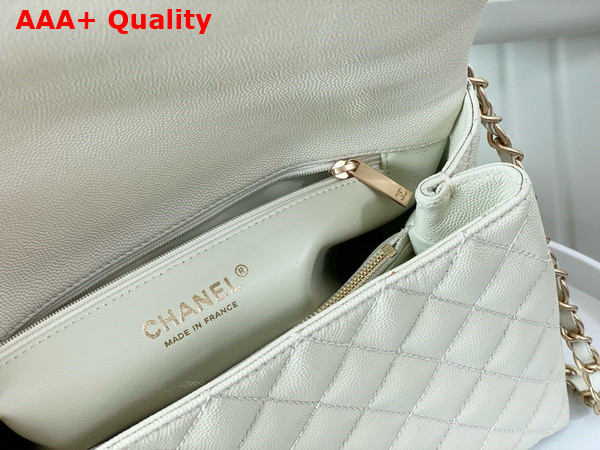 Chanel Medium Coco Handle Bag in White Grained Calfskin with Python Top Handle Replica