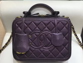 Chanel Medium Vanity Case in Dark Purple Grained Metallic Lambskin