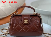 Chanel Mini Bag with Top Handle Shiny Lambskin Gold Tone Metal Brown AS4958 Replica