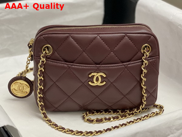 Chanel Mini Camera Case in Dark Brown Shiny Lambskin Gold Tone Metal AS5190 Replica