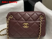 Chanel Mini Camera Case in Dark Brown Shiny Lambskin Gold Tone Metal AS5190 Replica