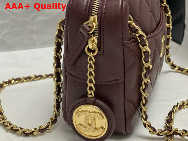 Chanel Mini Camera Case in Dark Brown Shiny Lambskin Gold Tone Metal AS5190 Replica