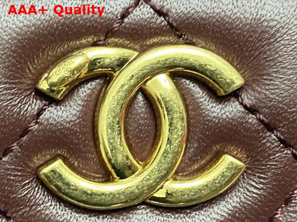 Chanel Mini Camera Case in Dark Brown Shiny Lambskin Gold Tone Metal AS5190 Replica