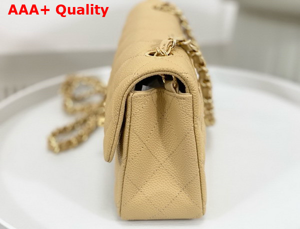 Chanel Mini Classic Handbag in Beige Grained Calfskin with Gold Tone Metal Ref A69900 Replica