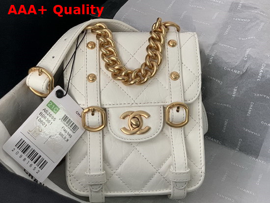 Chanel Mini Flap Bag Aged Calfskin Gold Tone Metal White Ref AS2695 Replica