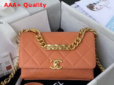 Chanel Mini Flap Bag Grained Calfskin Gold Tone Metal Brown AS2711 Replica