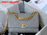 Chanel Mini Flap Bag Grained Calfskin Gold Tone Metal Grey AS2711 Replica