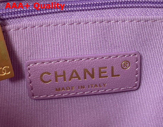 Chanel Mini Flap Bag Iridescent Grained Calfskin Gold Tone Metal Light Purple Ref AS2855 Replica