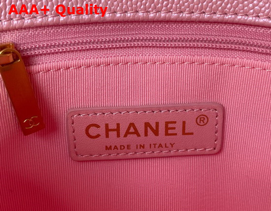 Chanel Mini Flap Bag Iridescent Grained Calfskin Gold Tone Metal Pink Ref AS2855 Replica