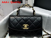 Chanel Mini Flap Bag With Top Handle Crumpled Lambskin and Gold Tone Metal Black AS2477 Replica