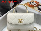 Chanel Mini Flap Bag With Top Handle Crumpled Lambskin and Gold Tone Metal White AS2477 Replica