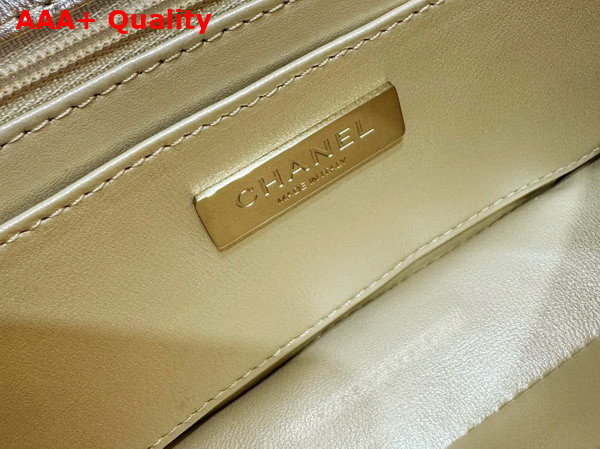 Chanel Mini Flap Bag and Star Coin Purse Light Gold Mirror Calfskin Metallic Calfskin and Gold Tone Metal AS4646 Replica