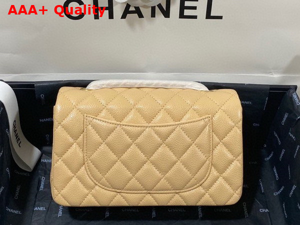 Chanel Mini Flap Bag in Beige Grained Calfskin Gold Tone Metal AS3757 Replica