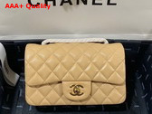 Chanel Mini Flap Bag in Beige Grained Calfskin Gold Tone Metal AS3757 Replica