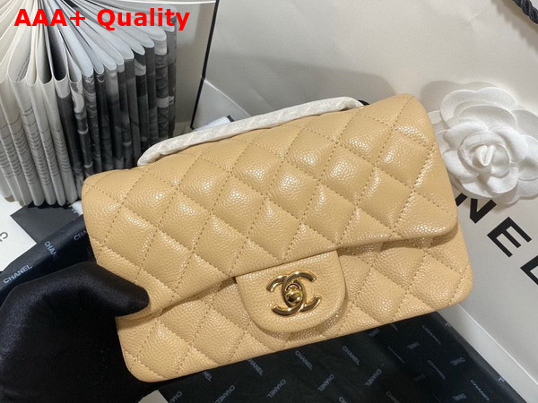 Chanel Mini Flap Bag in Beige Grained Calfskin Gold Tone Metal AS3757 Replica