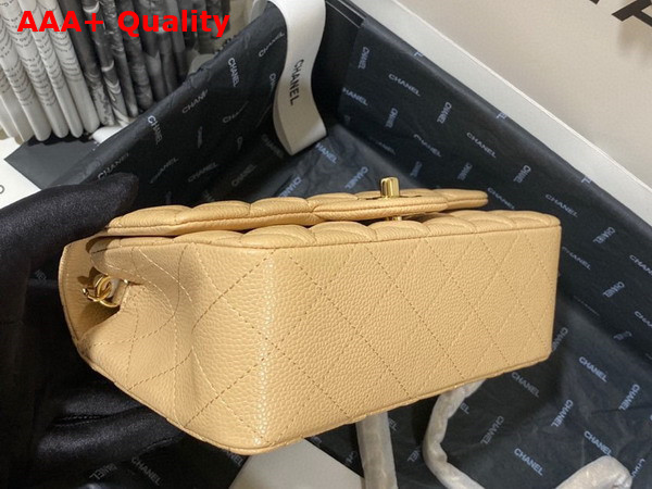 Chanel Mini Flap Bag in Beige Grained Calfskin Gold Tone Metal AS3757 Replica