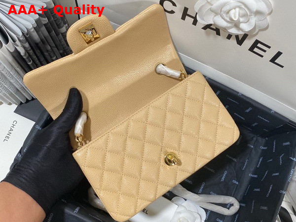 Chanel Mini Flap Bag in Beige Grained Calfskin Gold Tone Metal AS3757 Replica