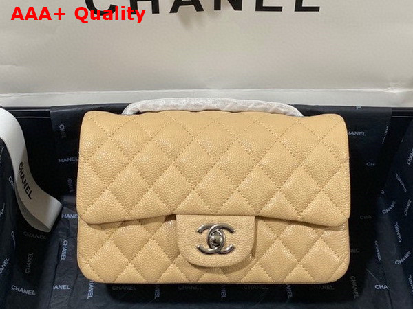 Chanel Mini Flap Bag in Beige Grained Calfskin Gold Tone Metal AS3757 Replica