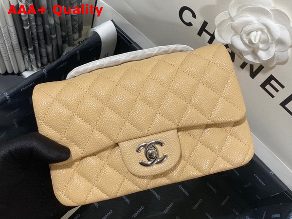 Chanel Mini Flap Bag in Beige Grained Calfskin Gold Tone Metal AS3757 Replica