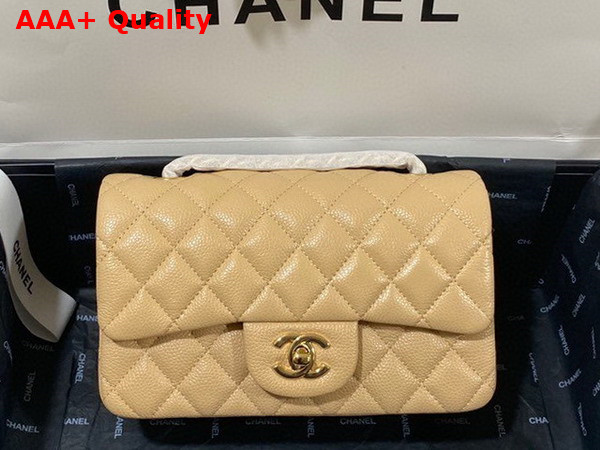 Chanel Mini Flap Bag in Beige Grained Calfskin Gold Tone Metal AS3757 Replica