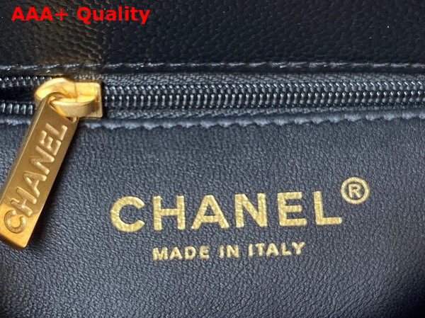 Chanel Mini Flap Bag in Black Grained Calfskin and Gold Tone Metal AS3829 Replica