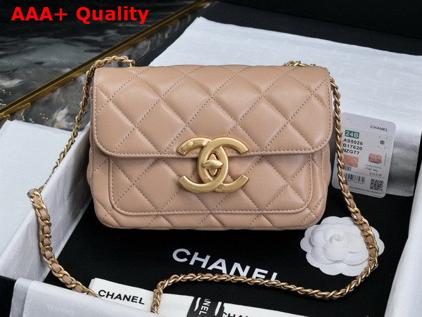 Chanel Mini Flap Bag in Dark Beige Shiny Lambskin Gold Tone Metal AS5026 Replica