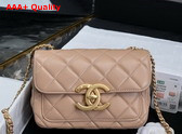 Chanel Mini Flap Bag in Dark Beige Shiny Lambskin Gold Tone Metal AS5026 Replica