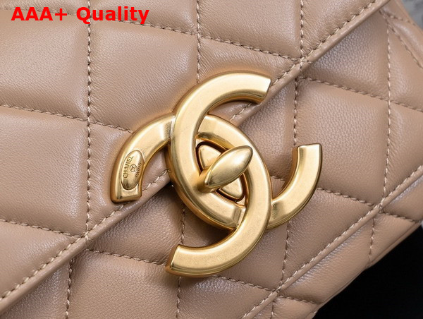 Chanel Mini Flap Bag in Dark Beige Shiny Lambskin Gold Tone Metal AS5026 Replica