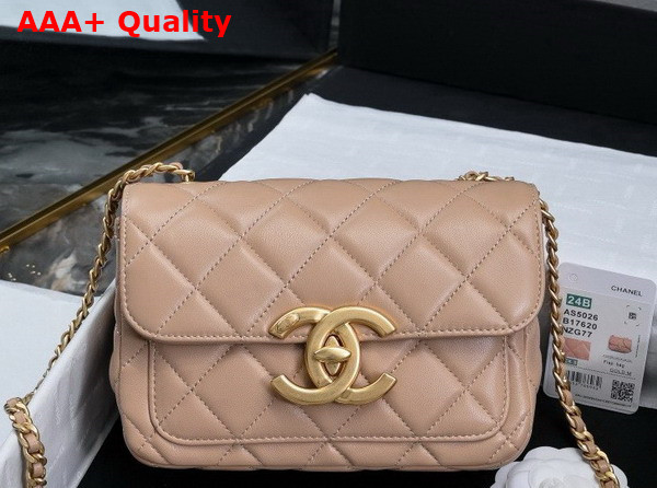 Chanel Mini Flap Bag in Dark Beige Shiny Lambskin Gold Tone Metal AS5026 Replica