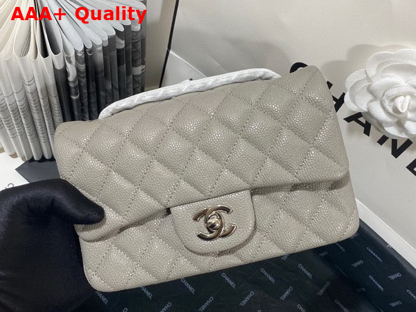 Chanel Mini Flap Bag in Grey Grained Calfskin Silver Tone Metal AS3757 Replica