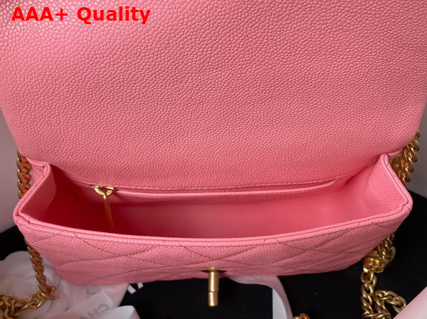 Chanel Mini Flap Bag in Pink Grained Calfskin and Gold Tone Metal AS3829 Replica