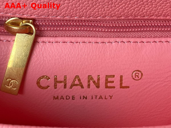 Chanel Mini Flap Bag in Pink Grained Calfskin and Gold Tone Metal AS3829 Replica