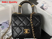 Chanel Mini Flap Bag with Top Handle Black Lambskin Gold Tone Metal AS4035 Replica