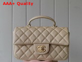 Chanel Mini Flap Bag with Top Handle Grained Calfskin and Gold Tone Metal Gold AS2431 Replica